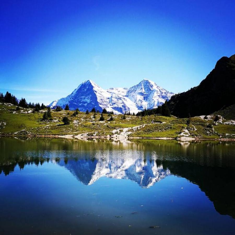 Swisshut Stunning Views Alps Lake - Chalet Erli Därligen Extérieur photo