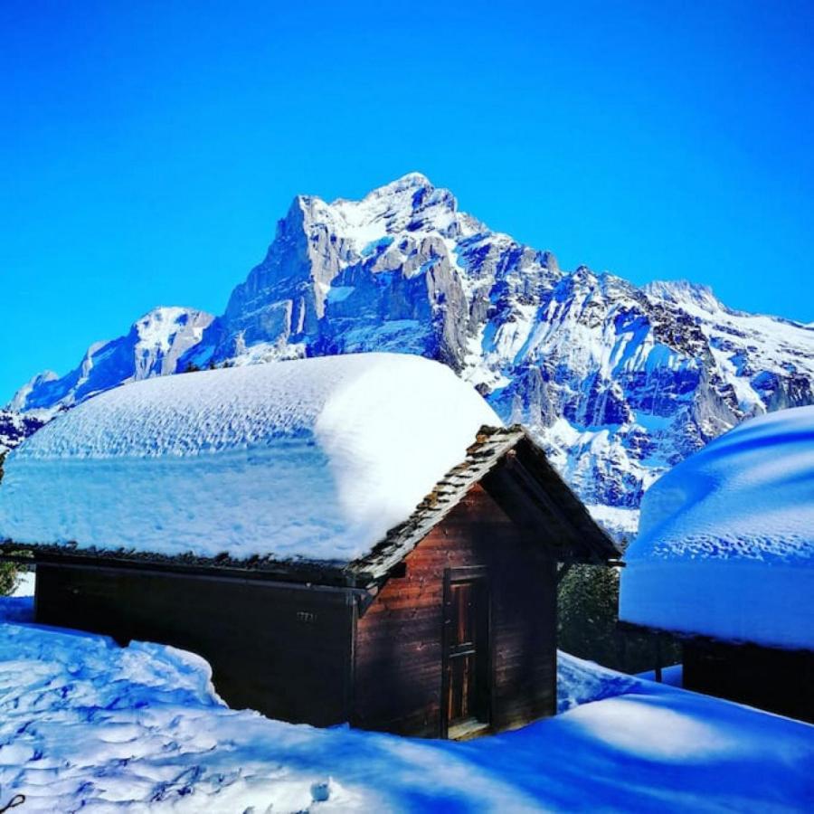 Swisshut Stunning Views Alps Lake - Chalet Erli Därligen Extérieur photo