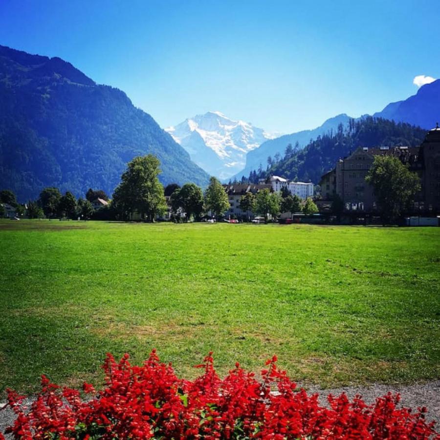 Swisshut Stunning Views Alps Lake - Chalet Erli Därligen Extérieur photo